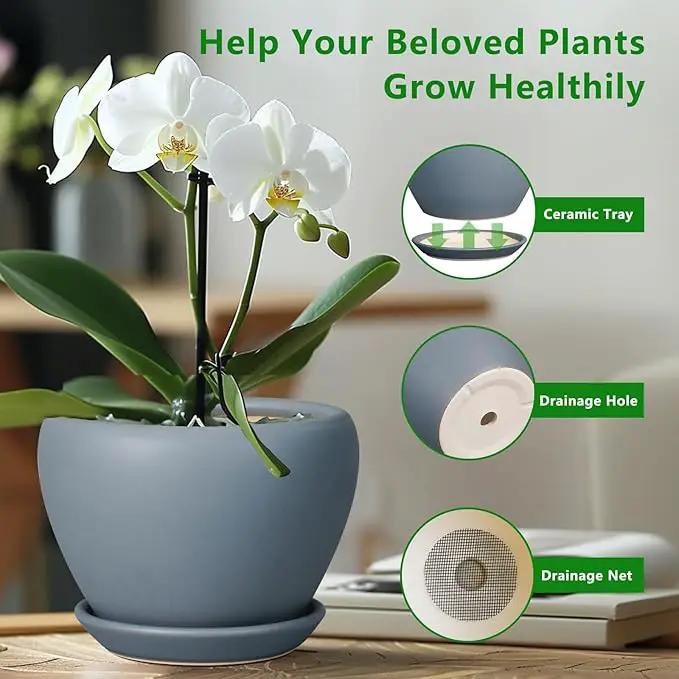 10 Inch Plant Pot - Ceramic Planter for Indoor Plants Large Plant Pot with Drainage Hole and Saucer Round Outdoor Planter Modern Flower Pot for Home Decor Gray by GreenHaven Gardens