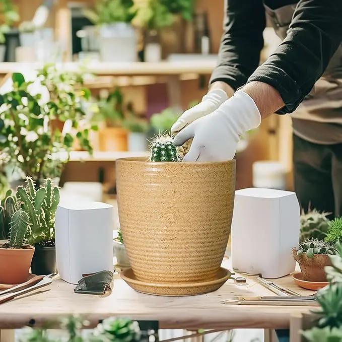 Pot for Plants 8 Inch - Ceramic Planter Indoor Plant Pot with Drainage Hole and Saucer Planter for Outdoor Plants Round Flower Pot for Home Patio Garden Office Decor Yellow by GreenHaven Gardens