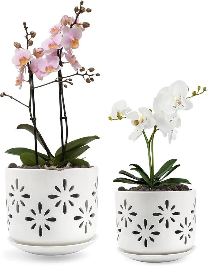 EFISPSS Orchid Pot-5+6 Inch,Ceramic Drainage Orchid Pots with Holes, Enhance Good Ventilation and Drainage,Orchid Pots Indoor/Outdoor Plants or Repotting by GreenHaven Gardens