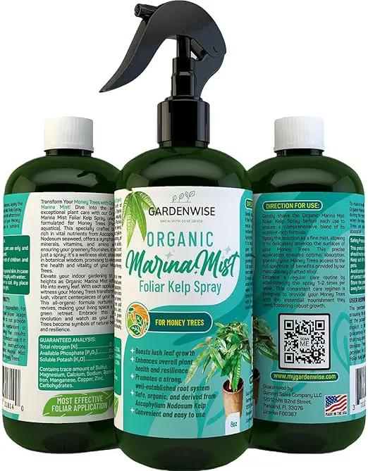 Organic Marina Mist Foliar Spray for Money Tree | Liquid Fertilizer | Micro Nutrients for Vital Health | Liquid Plant Food (8 OZ) by GreenHaven Gardens