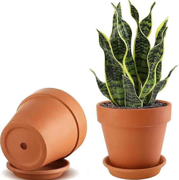2 Pack Large Terracotta Pots with Saucer for Plants, 8 Inch Terra Cotta Plant Pot with Drainage Hole, Clay Flower Planter Pot with Tray for Indoor Plant by GreenHaven Gardens
