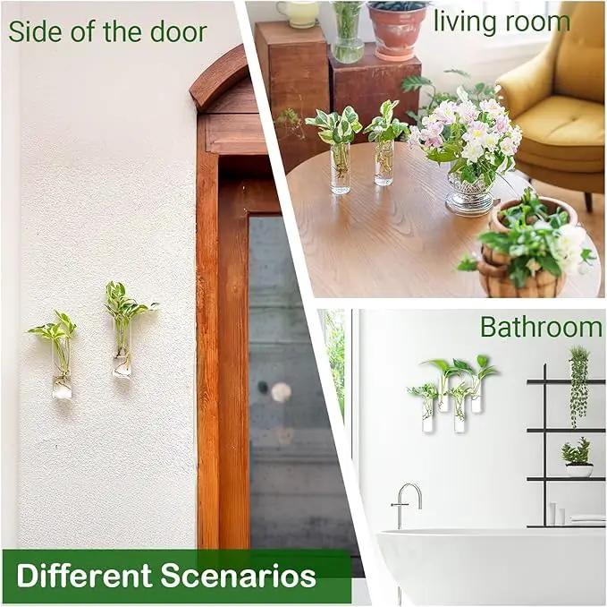 Ivolador Wall Plant Propagation Station Hanging Glass Planter Vase Terrarium Container Cylinder Shape Perfect for Propagating Hydroponic Plants Home Office Garden Decor Wedding-4PCS by GreenHaven Gardens