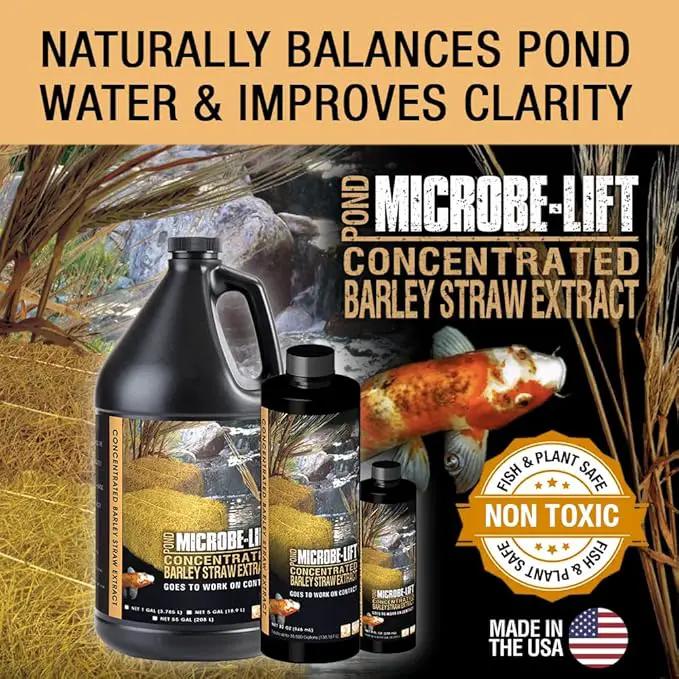 MICROBE-LIFT ALGA32 Algaway 5.4 Algae Control Treatment for Ponds and Water Gardens, 32 Ounces & MLCBSE1L Concentrated Barley Straw Extract Conditioner for Ponds and Outdoor Water Garden,32 Ounces by GreenHaven Gardens