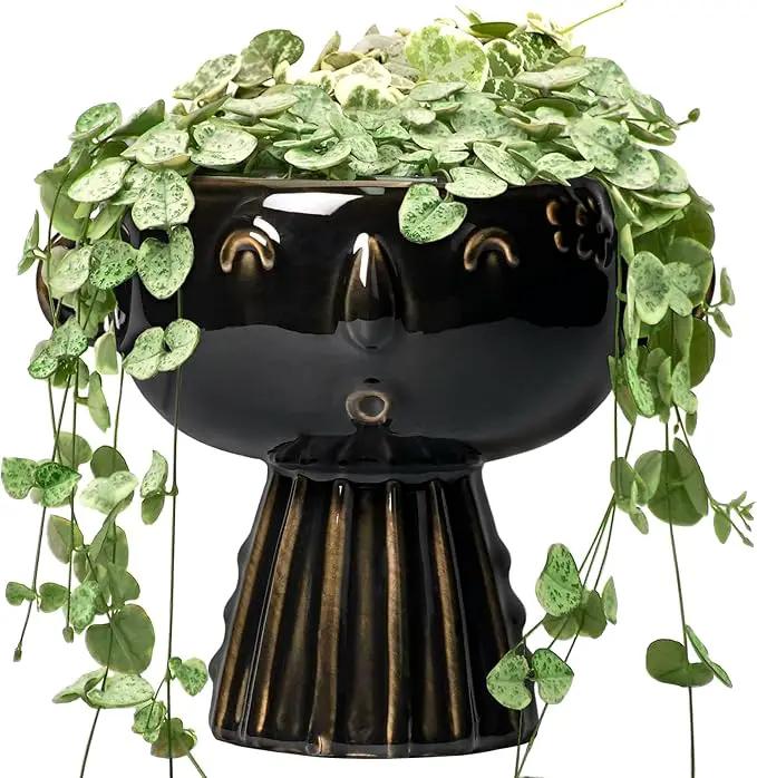 Head Planter 7 Inch - Ceramic Face Planters with Drainage Hole, Funny Succulent Pots for Indoor Outdoor, Cute Decorative Plant Pot, Desk Office Room Home Decor, Black by GreenHaven Gardens