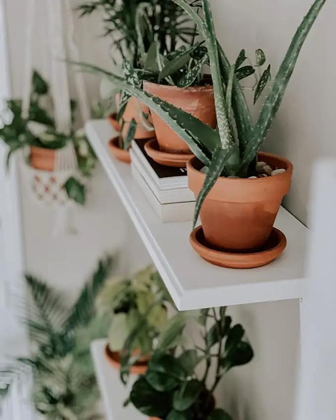 Terracotta Pots 6 Inch (4 Pack), Clay Pots for Plants with Drainage Hole and Saucer, Flower Pot with Tray, Large Terracotta Pot for Indoor Outdoor Plant by GreenHaven Gardens