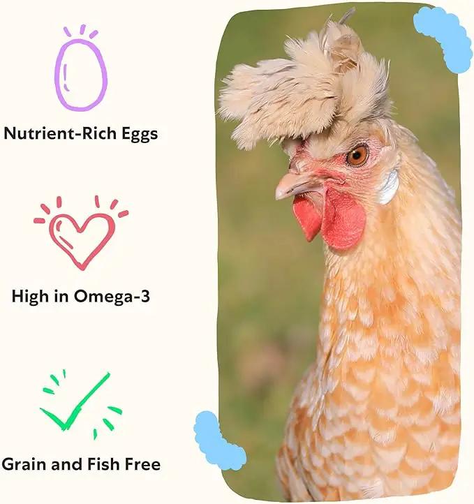Grubbly Farms Omega Mix Chicken Treats for Laying Hens - Superfood and Omega-Rich Chicken Feed Supplement to Support Egg Production, Strong Eggshells and Nutritious Yolks - 5LB by GreenHaven Gardens