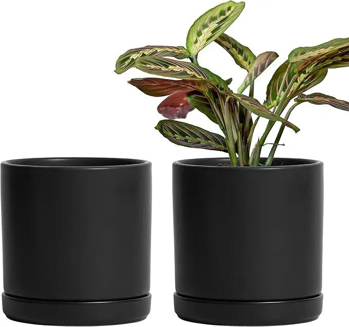 D'vine Dev Set of 2 Plants Pots, 6 Inch Ceramic Planter Pot for Plants with Drainage Hole and Saucer, Black, 94-V-C-2 by GreenHaven Gardens