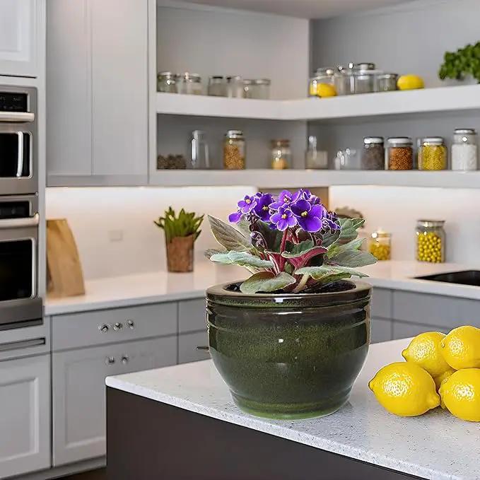 African Violet Pots Self Watering Round Ceramic Violet Pot (Olive drab, 6 inch) by GreenHaven Gardens