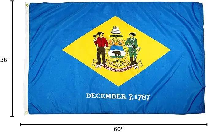 FlagSource Delaware Nylon State Flag, Made in the USA, 3x5' by GreenHaven Gardens
