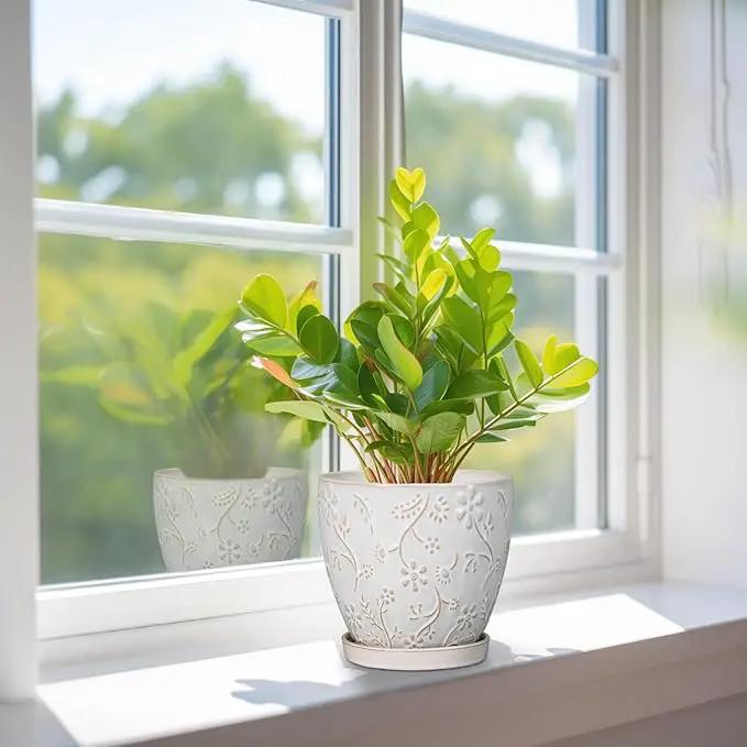 6 Inch Ceramic Plant Pot for Indoor Plants Outdoor Round Planter Flower Pot with Drainage Hole and Saucer for Home Garden Office Decor White by GreenHaven Gardens