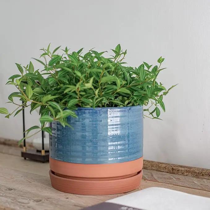 8 Inch Pots for Plants, Ceramic Planter Pot with Drainage Hole & Saucer, Indoor/Outdoor Cylinder Round Planter Pot, Blue & Terracotta by GreenHaven Gardens