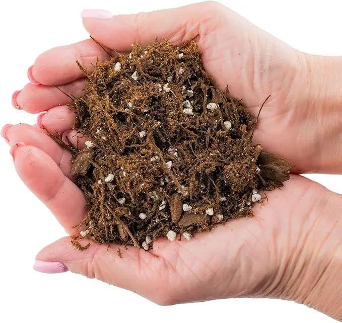 Premium Gardenera House Plant Potting Mix | Fern + New Zealand Bark + Perlite | Great for Pothos, Spider Plants, Montsera, Philodendron, English Ivy - 4 Quart Bag by GreenHaven Gardens