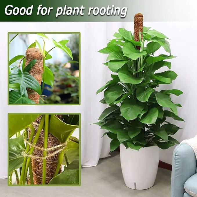 Moss Pole for Plants Monstera, 59 Inch Tall Bendable Moss Poles for Climbing Plants Indoor, Large Handmade Plant Pole Sticks, Coco Coir Plant Support Stakes for Potted Plants, Pothos by GreenHaven Gardens