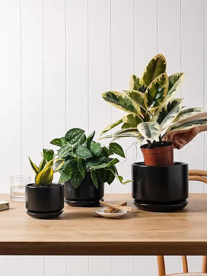 LE TAUCI Ceramic Plant Pots, 4.3+5.3+6.8 inch, Set of 3, Planters with Drainage Hole and Saucer, Indoor Flower Pot with Hole Mesh Pad, Gifts for Mom, Black by GreenHaven Gardens
