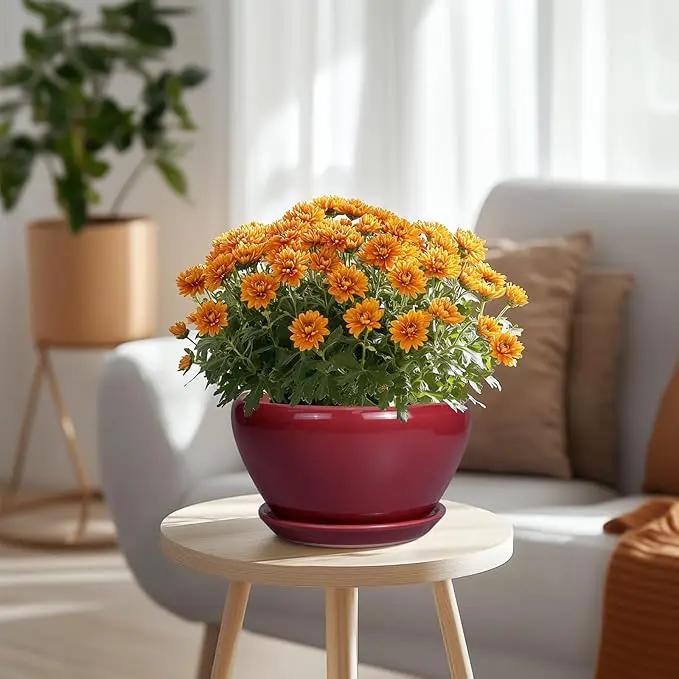Ceramic Plant Pot 9 Inch - Planter Pot with Drainage Hole and Saucer, Round Large Planter for Indoor Plants, Outdoor Flower Pot for House Patio Decor, Red by GreenHaven Gardens