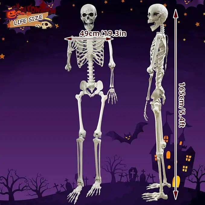 Lodou 5.4Ft Posable Life Size Human Adult Skeletons Plastic Human Bones with Movable Joints for Halloween Decoration by GreenHaven Gardens
