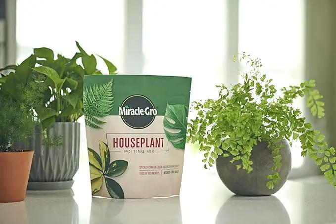 Miracle-Gro Houseplant Potting Mix - Fertilized Soil, Designed to be Less Prone to Gnats, 4 qt. (2-Pack) by GreenHaven Gardens