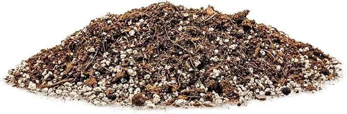 Premium Spearmint Plant Potting Mix - Crafted for Thriving Spearmint Growth and Refreshing Aroma - 1 Quart by GreenHaven Gardens