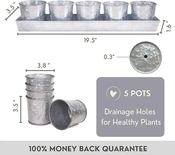 SCANDINORDICA Galvanized Metal Herb Planter, 5 Pots with Drainage Holes, Indoor Outdoor Use, Farmhouse Decor, 19.5x3.9x3.5 inches by GreenHaven Gardens