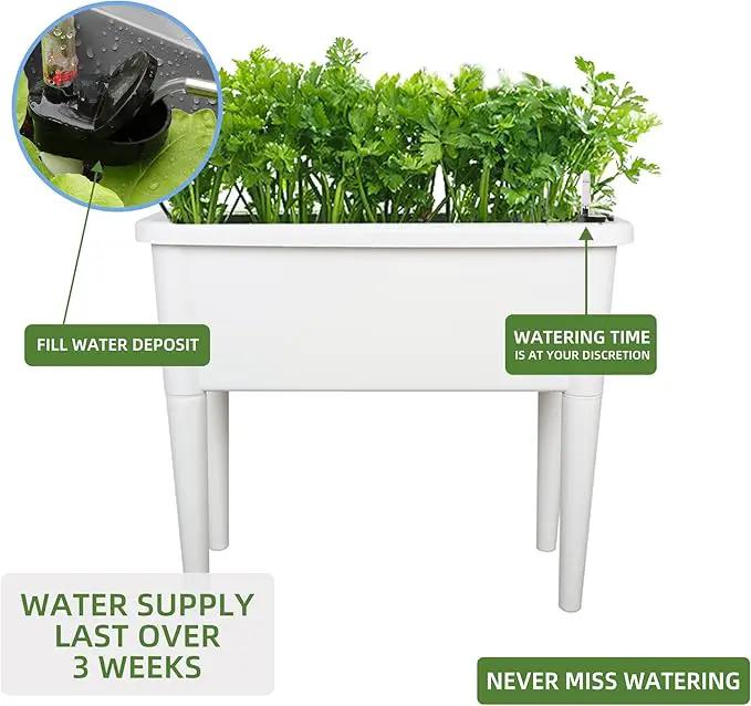 Dexceder 13.2 Gallon Self Watering Raised Garden Bed with Ventilation Transparent Lid Greenhouse, Deepen Vegetable Flower Box Planter Pot with Removeble Legs & Water Level Indicator (White) by GreenHaven Gardens