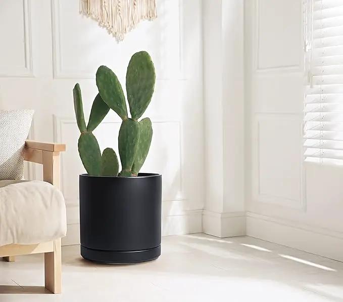 D'vine Dev 12 Inch Ceramic Planter Pot with Drainage Hole and Saucer, Indoor Cylinder Round Planter Pot, Black, 94-O-F-2 by GreenHaven Gardens