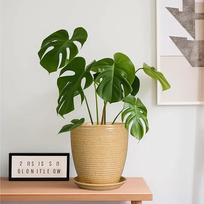 Pot for Plants 8 Inch - Ceramic Planter Indoor Plant Pot with Drainage Hole and Saucer Planter for Outdoor Plants Round Flower Pot for Home Patio Garden Office Decor Yellow by GreenHaven Gardens