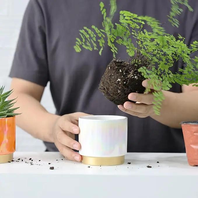 Gepege Succulent Pots for Plants, Succulent Planter with Drainage Holes, Ceramic Pot for Indoor Plant, Set of 4 by GreenHaven Gardens