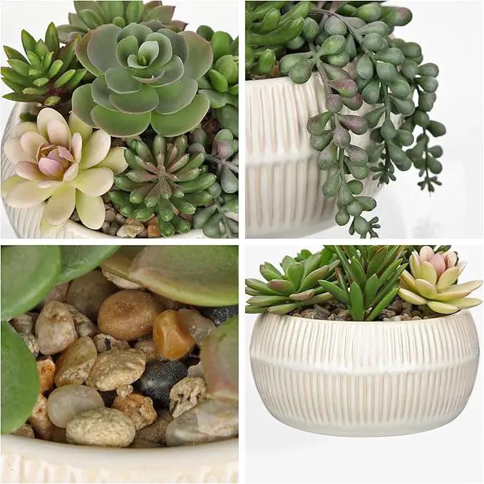 DILATATA Artificial Succulent Plants in Pot 5.5 Inch Fake Succulents Arrangement Potted Plant in White Ceramic Planter Bowl for Home Office Desk Shelf Living Room Bedroom Bathroom Decor by GreenHaven Gardens
