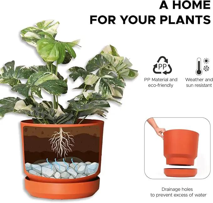 Elly Décor 8 inch Plastic Cylinder Planter Pot with Self-Watering Saucer and Drainage Hole,Lightweight & Extremely Durable, 8"x 8", Terracotta by GreenHaven Gardens