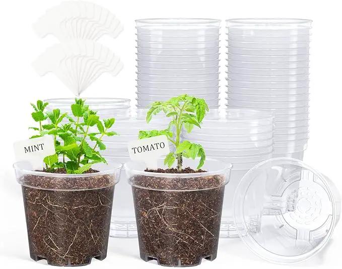 homenote Clear Nursery Pots for Plants,4 Inch Plant Pot for Planting Plastic Seedling with Drainage Holes Seed Starter Flower High Transparency with 20 Labels (60 Pack) by GreenHaven Gardens