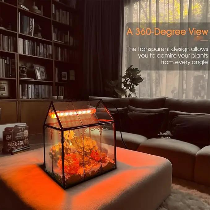 Plant Terrarium with Grow Light, Rifny Indoor House Shape Glass Terrarium Kit with Lid, Small Terrarium Jar Planter for Venus Fly Trap Succulent Live Air Plants Decor for Home Office (Without Plants) by GreenHaven Gardens