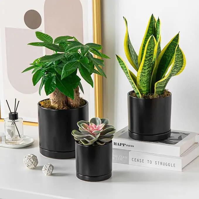 vancasso Ceramic Plant Pots, 3 Piece Planters for Indoor Plants, 4.25+5.25+6.25 Inch Flower Pots with Drainage, Plant Pots Indoor for Succulent, Pothos, Snake Plant and Money Tree, Etc (Black) by GreenHaven Gardens