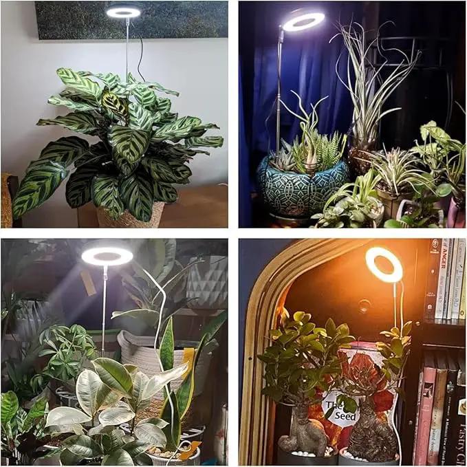 Plant Grow Light, 48 LEDs Full Spectrum Grow Light for Indoor Plants, Height Adjustable Small Halo Light with Base, 3 Optional Spectrums, Auto Timer 3/9/12Hrs, 10 Brightness, 3 Pack by GreenHaven Gardens