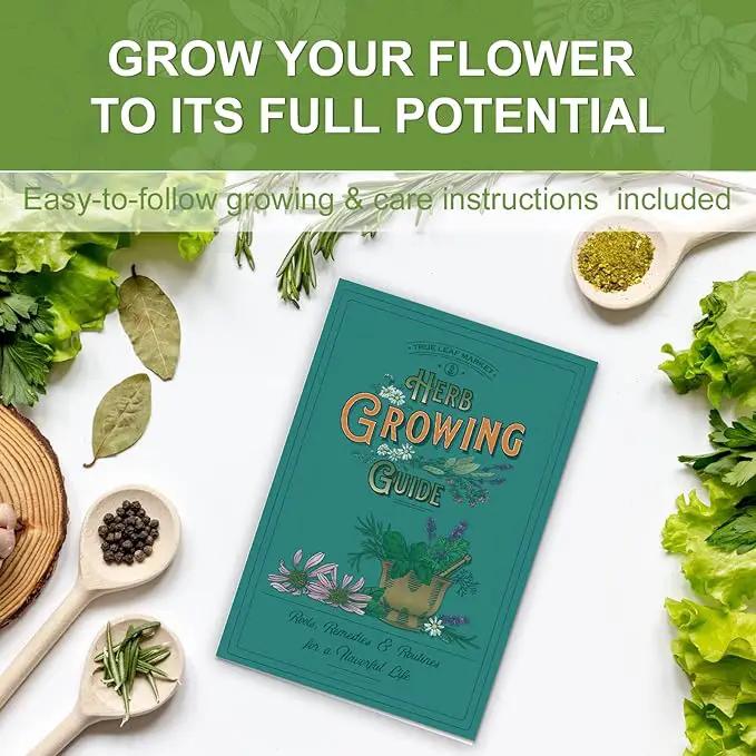 5 Herb Seeds Garden Starter Kit with Complete Planting Kit & Wooden Flower Box, Growing into Basil, Parsley, Rosemary, Thyme, Mint for Kitchen Windowsill Herb Garden DIY by GreenHaven Gardens