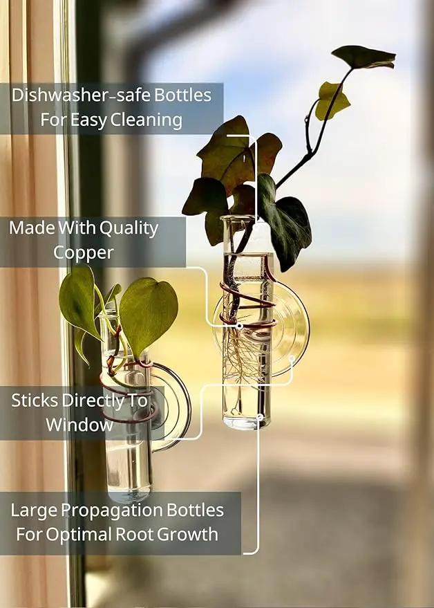 The Little Window Propagator | Window Propagation Station with Removable Glass Tubes, Indoor Plant Clippings, Cut Flowers, Herbs, Succulents | Home Decor | Plant Lover Gift (2) by GreenHaven Gardens