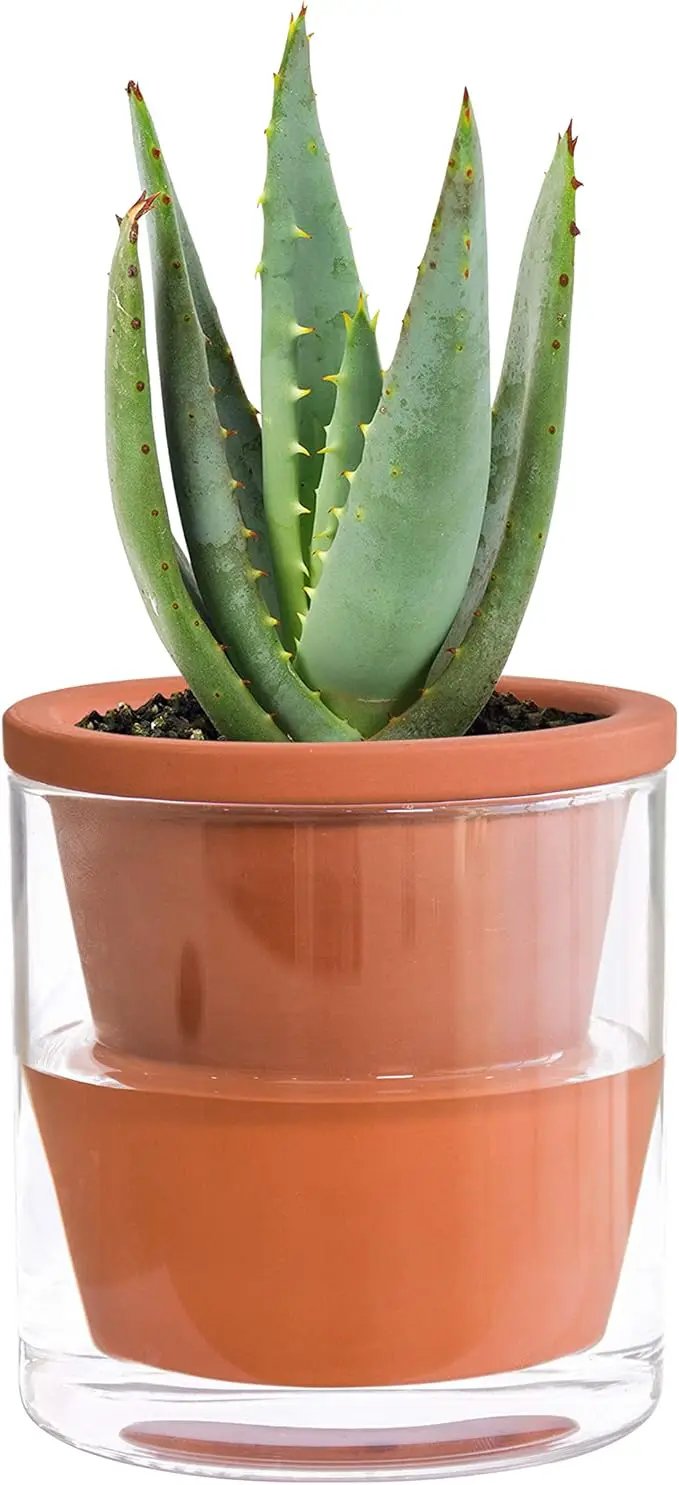 D'vine Dev 4 Inch Design Self Watering Pot for Indoor Plants, Terracotta Planter with Cylinder Glass Cup, Set of 1, 37-X-A-1 by GreenHaven Gardens
