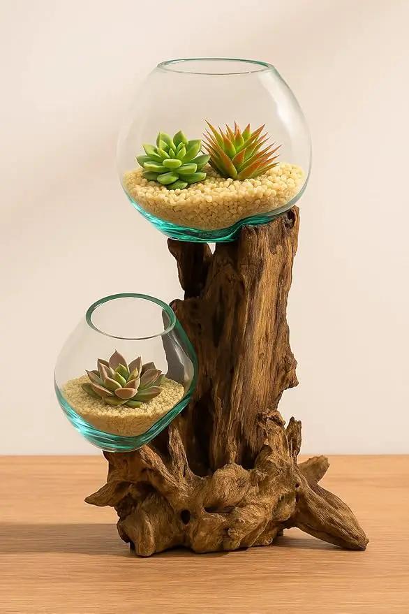 Cape Craftsmen 12" H Hand-Blown Blue Tinted Bubble Glass On Natural Teak Driftwood Terrarium | Home Décor Indoor Planter with Stand | Pot for Succulent and Plants by GreenHaven Gardens