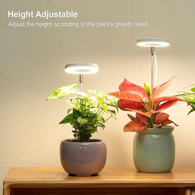 LORDEM Grow Light, Full Spectrum LED Plant Light for Indoor Plants, Height Adjustable Growing Lamp with Auto On/Off Timer 4/8/12H, 4 Dimmable Brightness, Ideal for Small Plants by GreenHaven Gardens