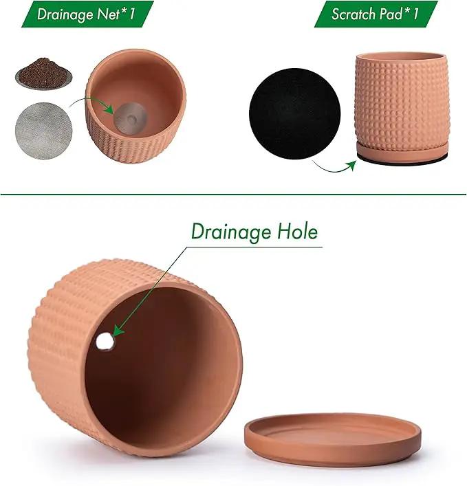D'vine Dev Set of 2 Ceramic Plants Pots, 4 Inch Beaded Stoneware Flower Pot for Plants with Drainage Hole and Saucer, Terracotta, 27-E-Z-7 by GreenHaven Gardens
