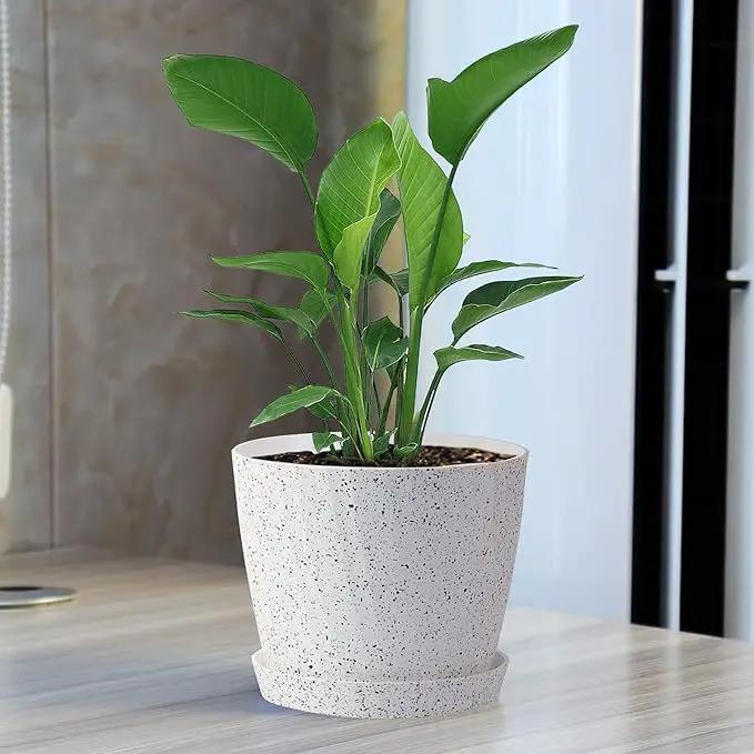 6 Inch Plant Pots Bulk, 6 Pack Plastic Planters with Drainage Holes and Saucers for Indoor Outdoor House Plants and Flowers,White Spots by GreenHaven Gardens
