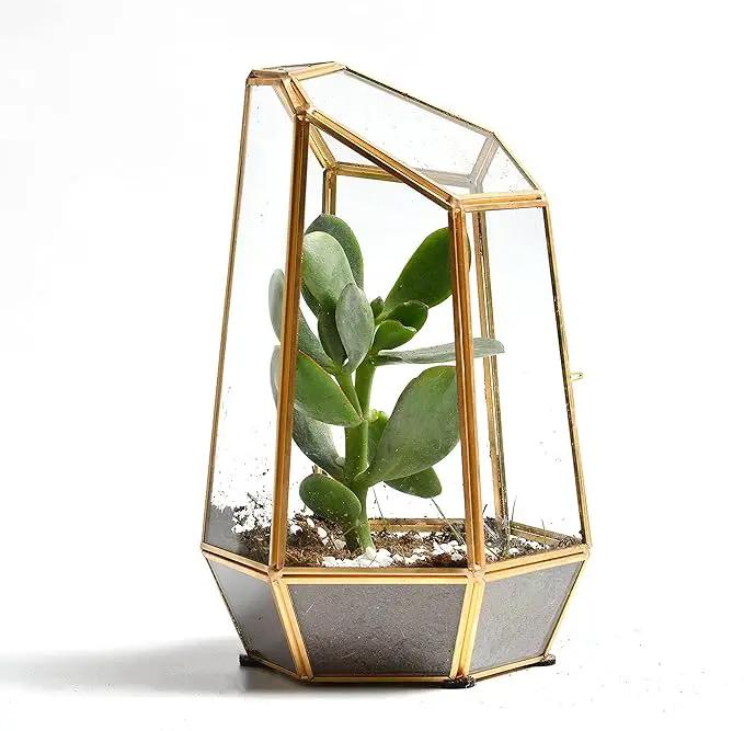 Golden Geometric Glass Terrarium with Door - 9.8" Tall Irregular Clear Planter for Succulents,Ferns,Moss,Cacti | Indoor Fairy Garden,Tabletop Display,Wedding Home Decoration (Plants Not Included) by GreenHaven Gardens