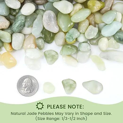 SIDONG 10 LB Jade Pebbles, 2/5 Inch Natural Decorative Polished Jade Stones, Jade River Rocks for Succulents, Cactus, Vases, Indoor Plants, Garden Landscaping, Bamboo by GreenHaven Gardens