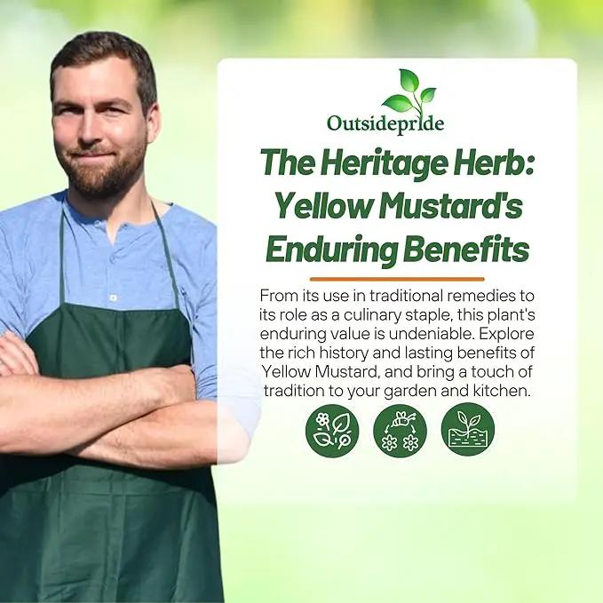 Outsidepride Yellow Mustard Seeds - 10000 Pcs Nutrient-Rich, Flavorful Annual Microgreen Seeds for Planting, Easy-to-Grow, Ideal for Indoor & Outdoor Cultivation, Soil & Hydroponic Systems by GreenHaven Gardens