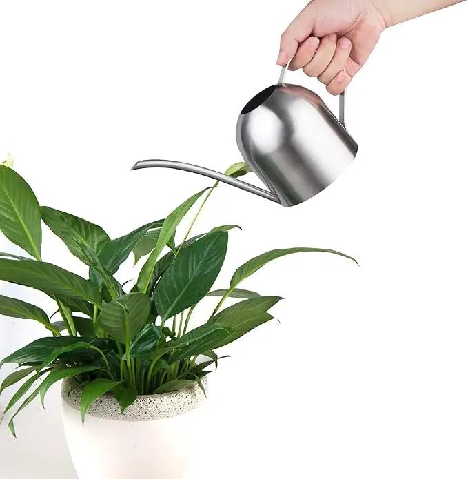 IMEEA Indoor Watering Can for House Plants Stainless Steel Watering Can Metal with Long Spout (33oz/1L) by GreenHaven Gardens