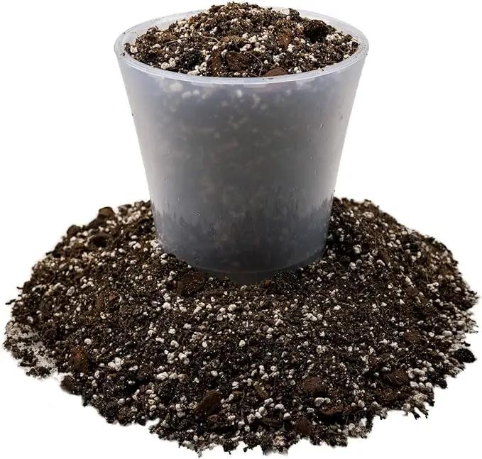 Fiddle Leaf Fig House Plant Soil Premium All Purpose Blend - Peat Moss, New Zealand Bark, Coco Chips and Fibers, Perlite - 3 Quart Bag by GreenHaven Gardens