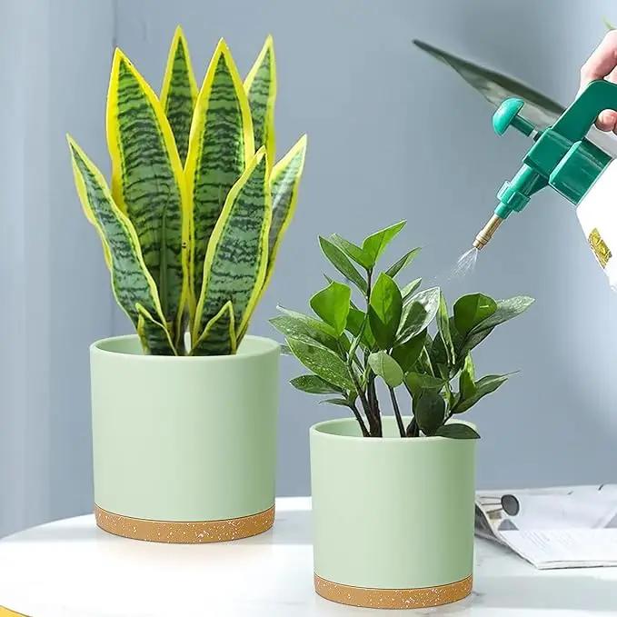8/7/6 inch Plant Pots, 3 Pack Cylinder Flower Pots for Outdoor Indoor Plants, Decorative Plastic Planters with Drainage Holes and Saucers for Garden House Plants, Green with Brown by GreenHaven Gardens