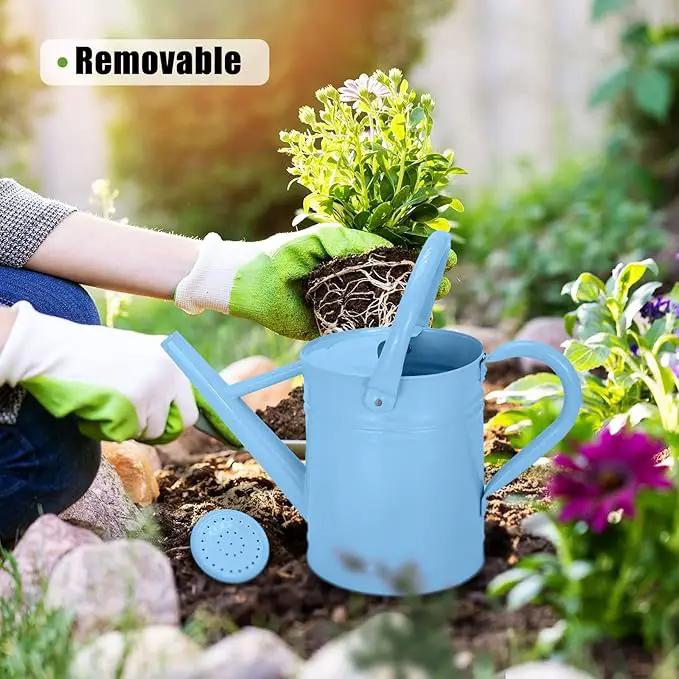 Metal Watering Can (1 Gallon) for Outdoor&Indoor Plants with Free Small Watering can for Kids, Plant Watering Can with Removable spout, Perfect for Garden Flower, Houseplants, (Light Blue) by GreenHaven Gardens