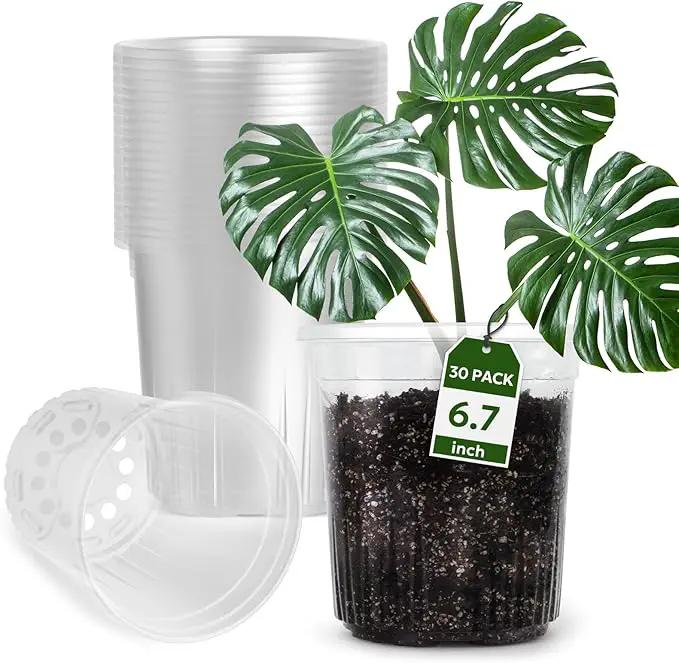 1 Gallon Reinforced Clear Nursery Pots with Drainage Hole, 30 Packs, 6.7 Inch Transparent Pots for Seedlings, Indoor/Outdoor Plants, Veggies, Flowers, and Professional Nursery Use by GreenHaven Gardens