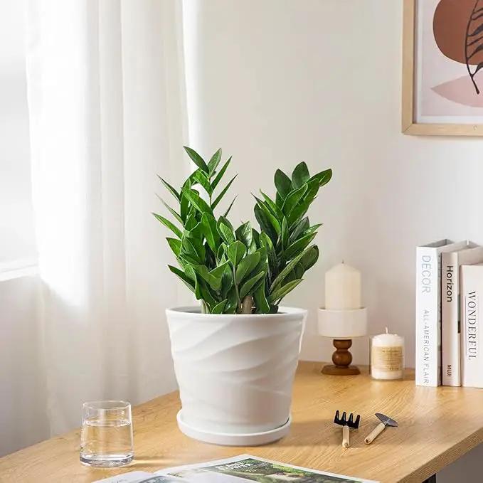 8 Inch Plant Pot, Ceramic Planter with Drainage and Saucer, Ceramic Pots for Plants, Indoor Plant pots,Succulent Orchid Flower Pot(Pure White) by GreenHaven Gardens