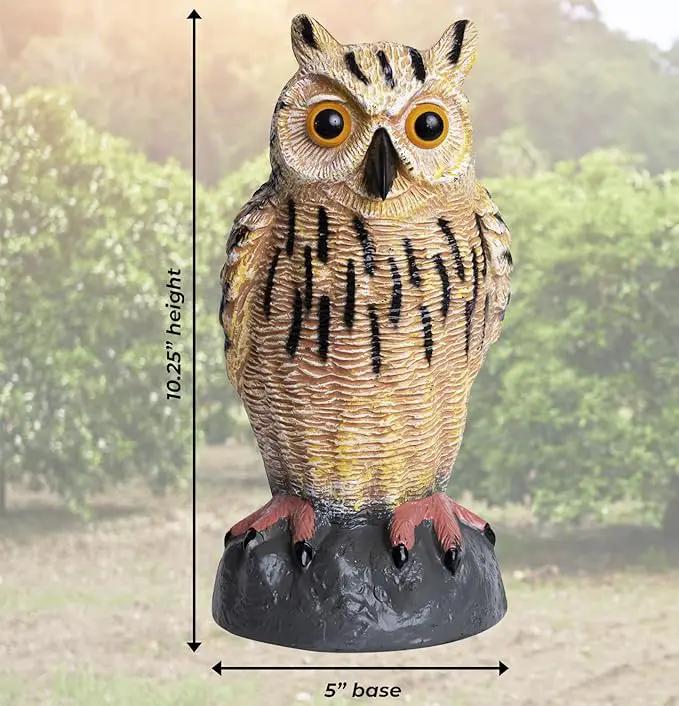 Galashield Owl Decoy | Plastic Owls to Scare Birds Away | Owl Statue for Garden & Outdoors - Pack of 3 by GreenHaven Gardens